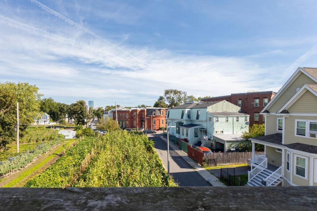 New! Near Mbta, 3mi To Fenway ! Appartement